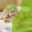 Paté vegetal hecho con nuestra soja texturizada. Fácil y rápido.